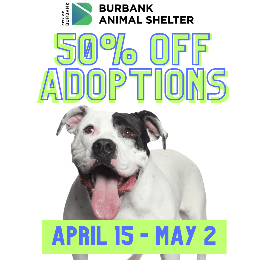 50% Off Adoptions at Burbank Animal Shelter