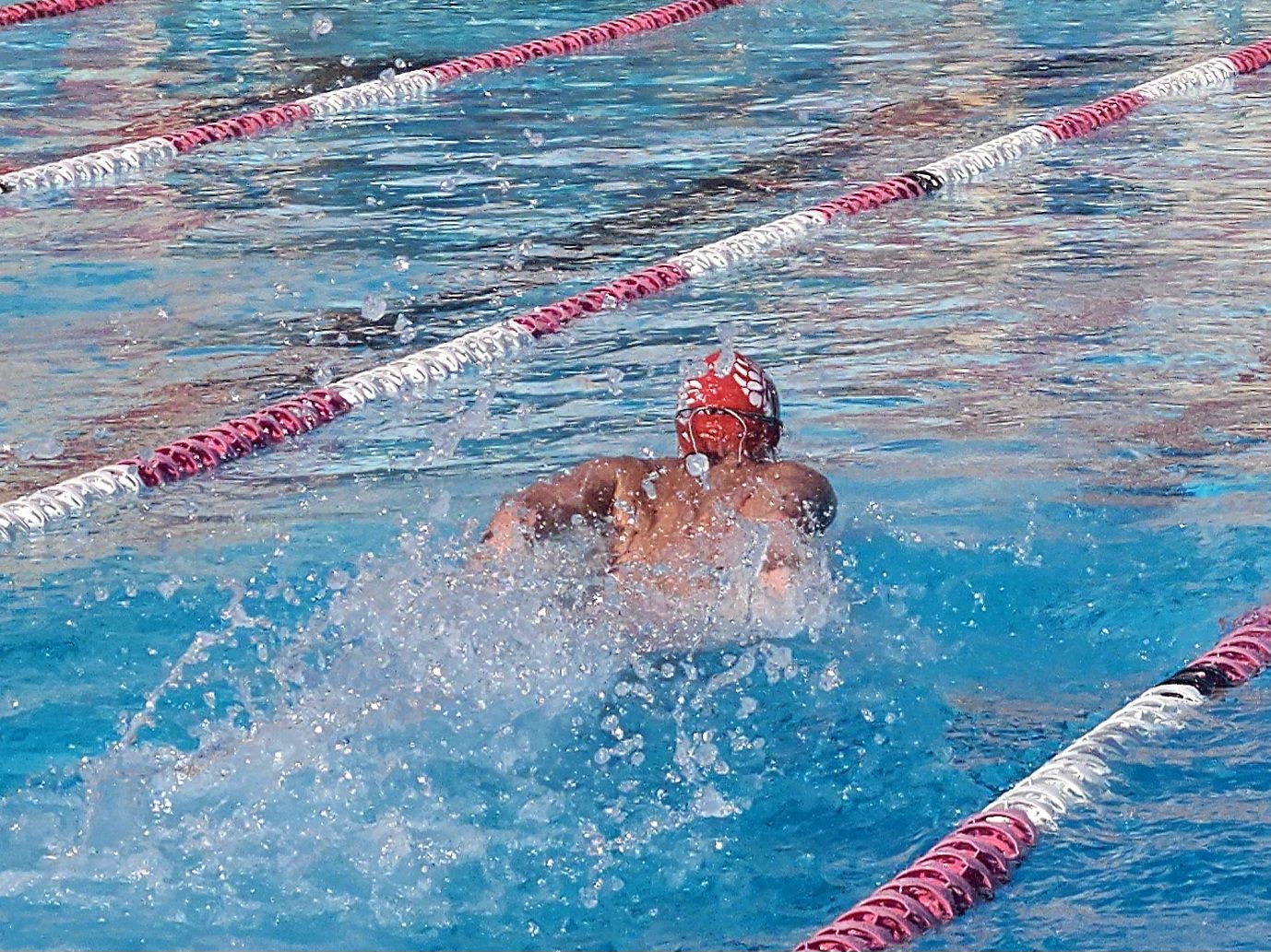 Burroughs Swim Sweeps Burbank in Pacific League Dual Meet