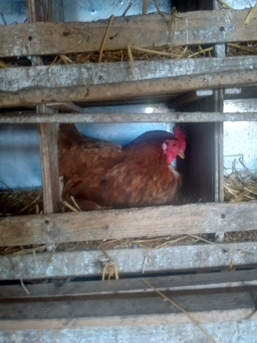 Netflix in Talks to Buy Radford Studio Center in Studio City